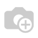 MOLDE DE PIE N24-DP00031